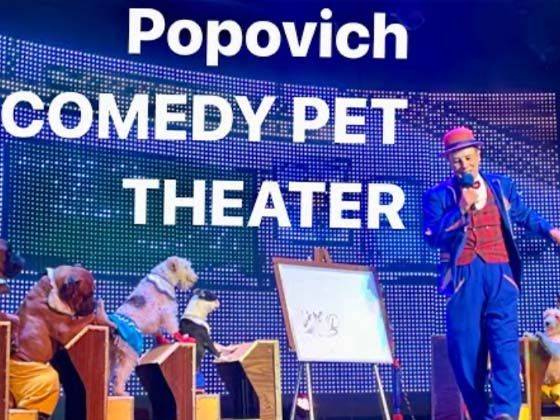 Popovich Comedy Pet Theater